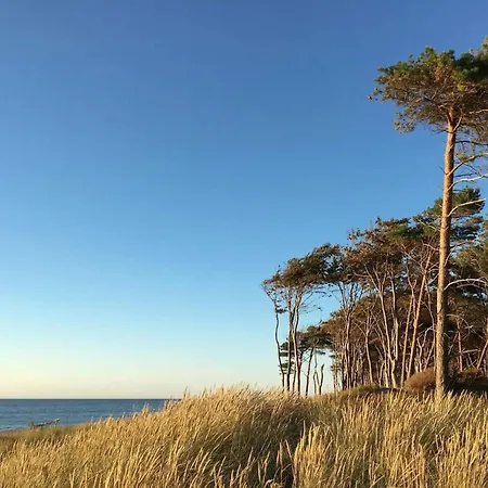 Modern Oasis In Marielyst - By Traum